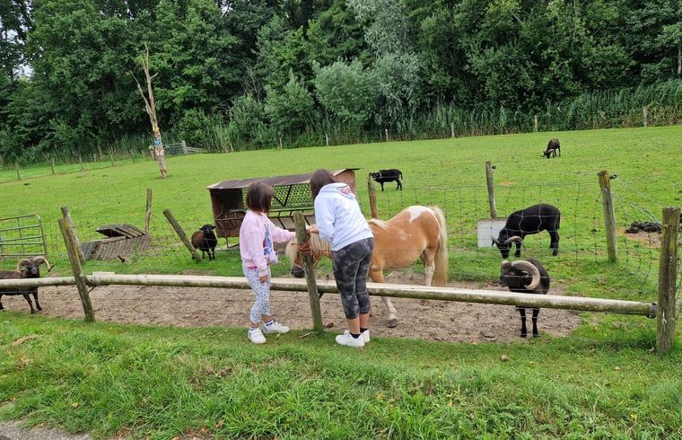 Verblijf 571411 - Vakantiewoning Utrechtse Heuvelrug - Huisje in Woudenberg