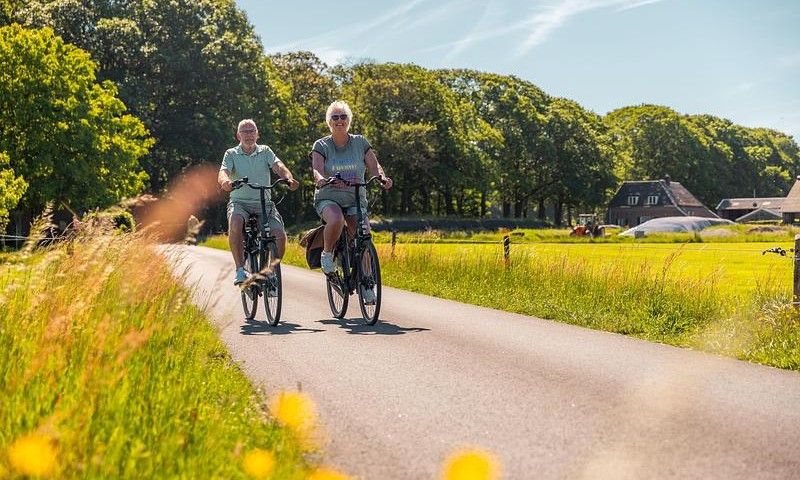 Unterkunft 5718124 - Ferienhaus Utrechtse Heuvelrug - Berkel 4 no.184 Laan van Laag Kanje 1 Maarn