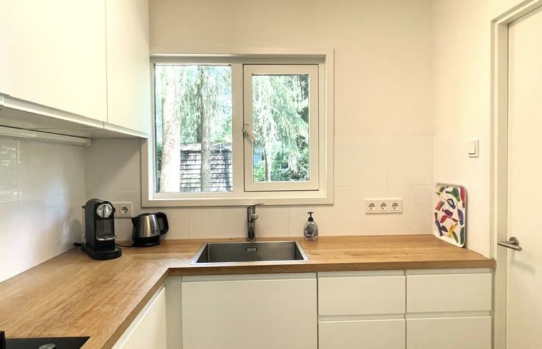 Stylish kitchen of Holiday home in Maarn, Utrechtse Heuvelrug, overlooking nature.
