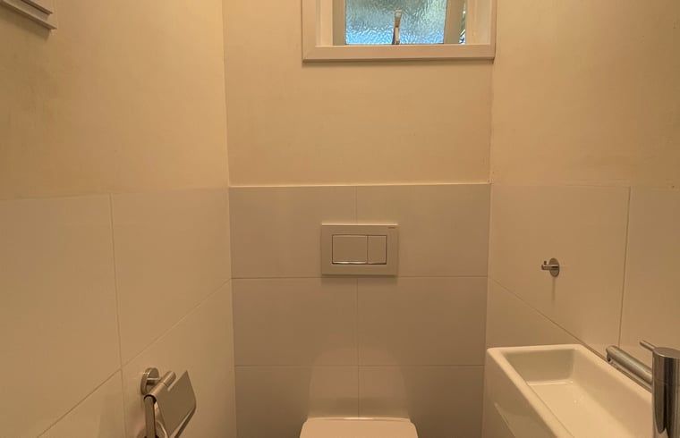 Compact bathroom of Holiday home in Maarn, Utrechtse Heuvelrug, with modern toilet and sink.