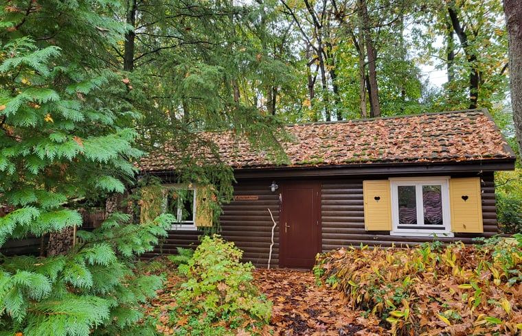 Guest house 571881 - Holiday property Utrechtse Heuvelrug - Huisje in Maarn