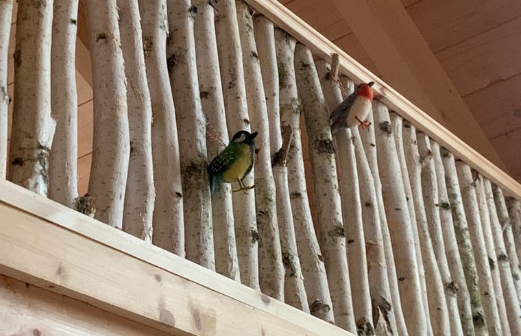 Guest house 571881 - Holiday property Utrechtse Heuvelrug - Huisje in Maarn