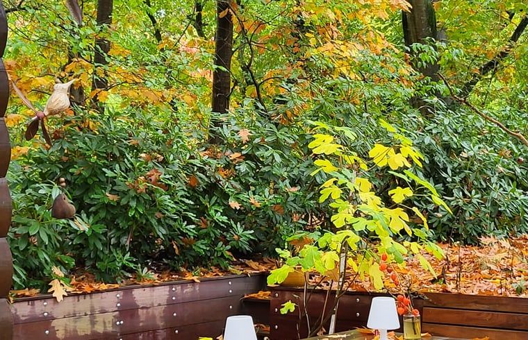 Guest house 571881 - Holiday property Utrechtse Heuvelrug - Huisje in Maarn