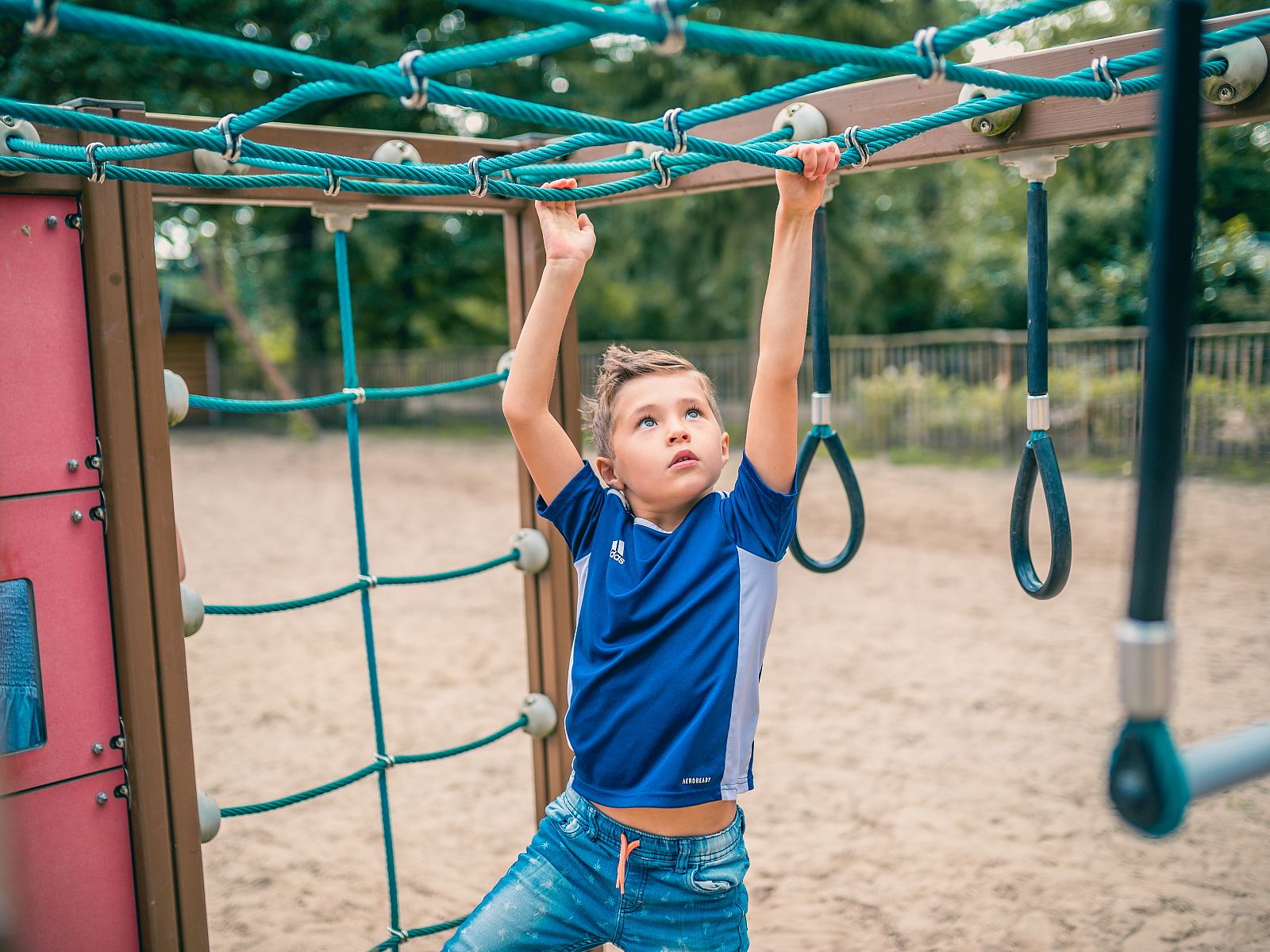 Unterkunft 571883 - Ferienhaus Utrechtse Heuvelrug - EuroParcs De Utrechtse Heuvelrug