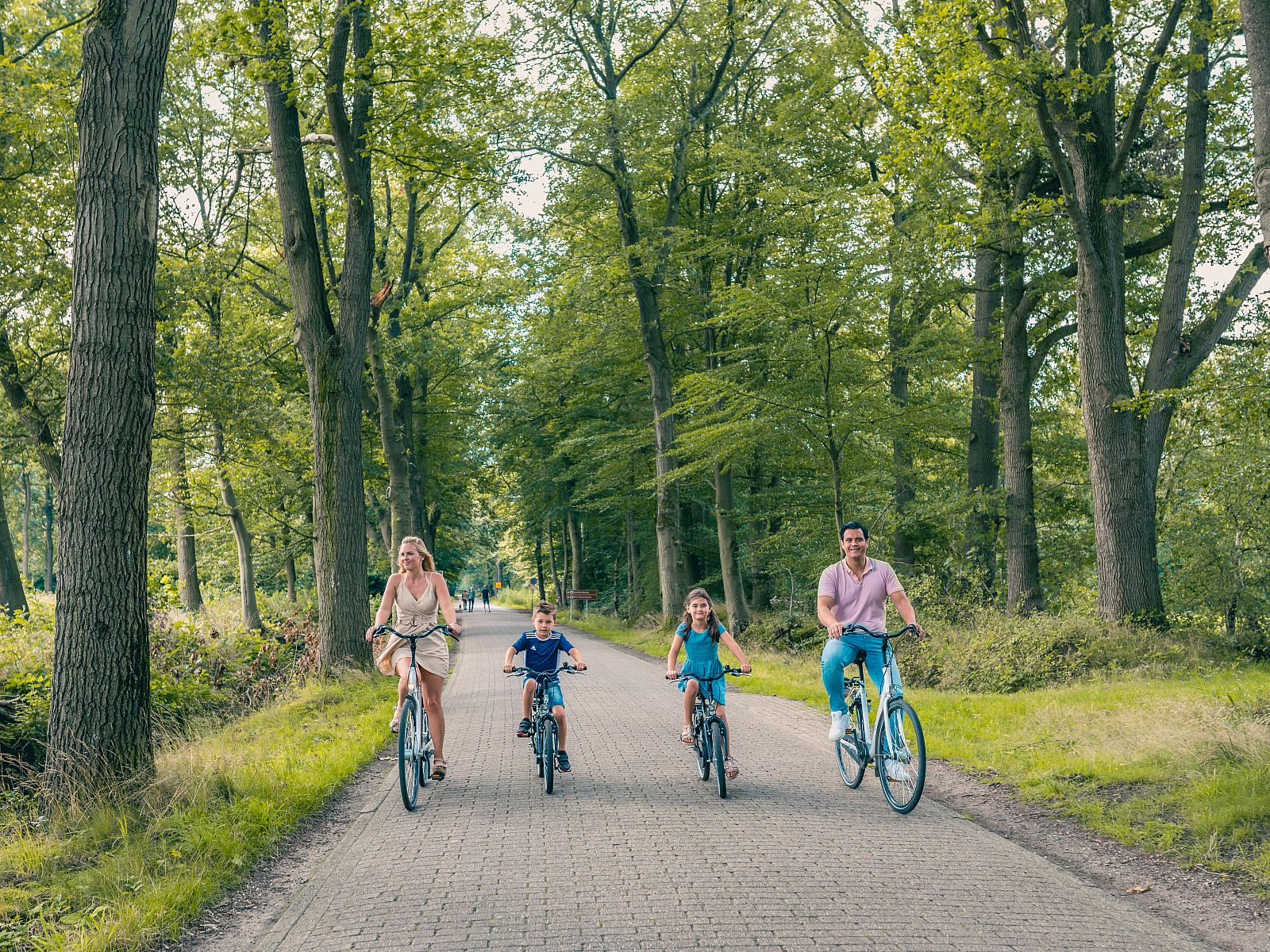 Unterkunft 571883 - Ferienhaus Utrechtse Heuvelrug - EuroParcs De Utrechtse Heuvelrug