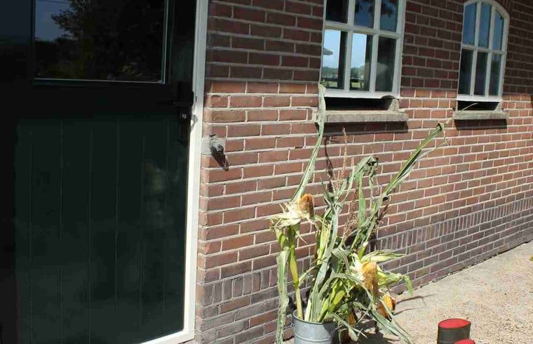 Ingang van Vakantiehuisje in Achterveld, Utrechtse Heuvelrug, met rustieke details en een groene deur.