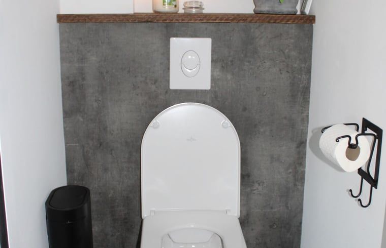 Stijlvolle wastafel en douche in Vakantiehuisje in Achterveld, Utrechtse Heuvelrug, met eigentijds design.