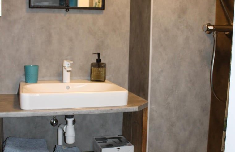 Badkamer met douche en blauwe deur in Vakantiehuisje in Achterveld, Utrechtse Heuvelrug, met moderne accenten.