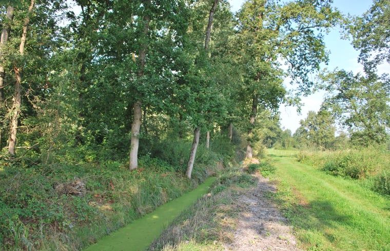 Unterkunft 572002 - Ferienhaus Utrechtse Heuvelrug - Vakantiehuisje in Langbroek
