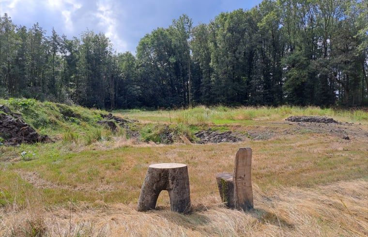 Unterkunft 572002 - Ferienhaus Utrechtse Heuvelrug - Vakantiehuisje in Langbroek