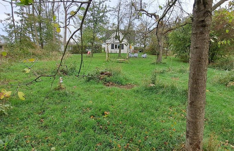 Unterkunft 572002 - Ferienhaus Utrechtse Heuvelrug - Vakantiehuisje in Langbroek