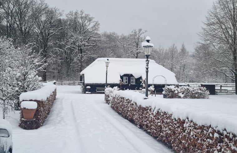 Charmantes Ferienhaus in Maarsbergen mit Reetdach und gruener Umgebung, Utrechtse Heuvelrug.