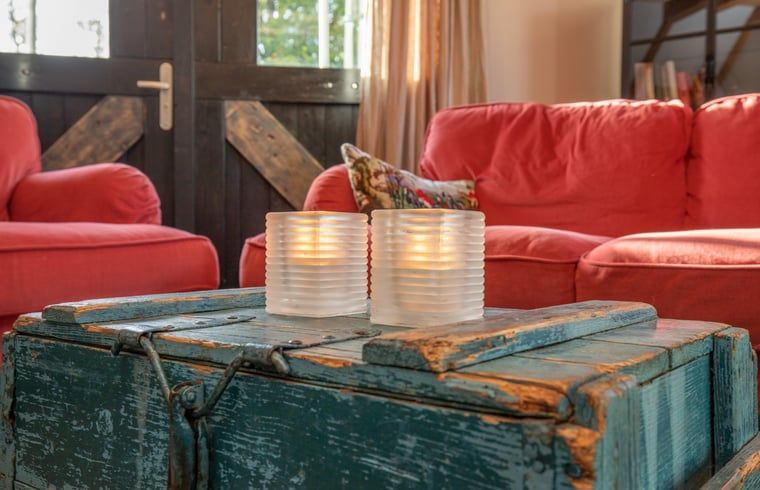 Schafe in der Naehe des Ferienhauses in Maarsbergen, Utrechtse Heuvelrug.