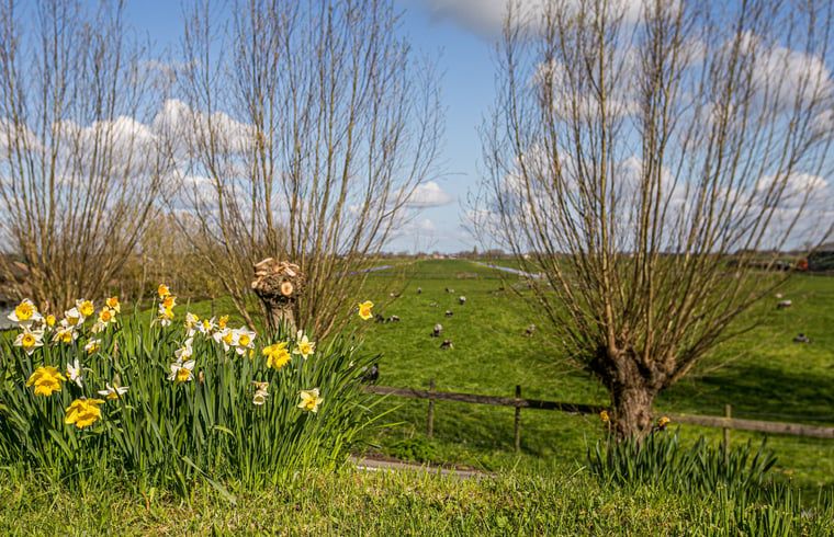 Geniet van het prachtige uitzicht op het groene landschap vanuit Vakantiehuisje in Hekendorp, Utrecht, een idyllisch vakantiehuis.