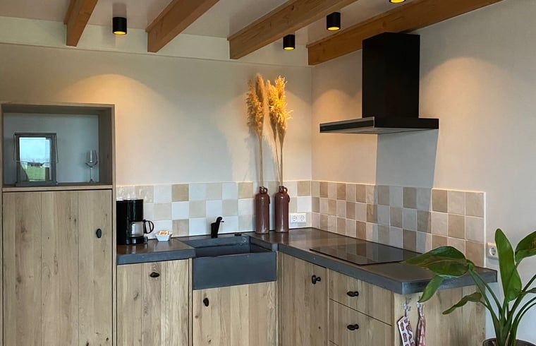 Guest house 582420 - Holiday property Utrecht eo - Vakantiehuis in Polsbroek