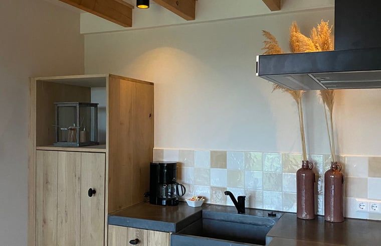 Guest house 582420 - Holiday property Utrecht eo - Vakantiehuis in Polsbroek