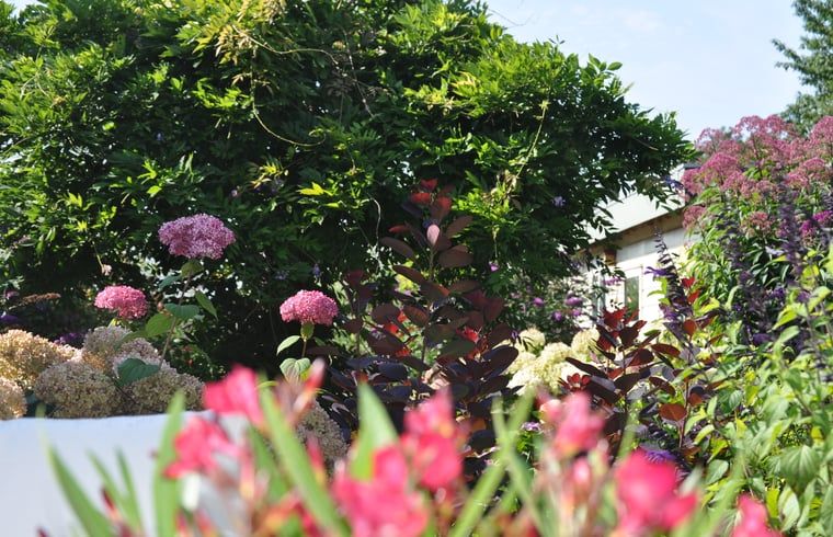 Guest house 582804 - Holiday property Utrecht eo - Vakantiehuisje in Groenekan, Gemeente De Bilt