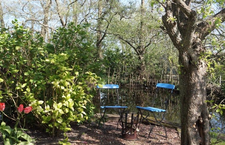 Gemuetlicher Sitzplatz im Garten des Huisje in Zegveld, umgeben von Gruen in Zegveld, Utrecht eo, Utrecht.