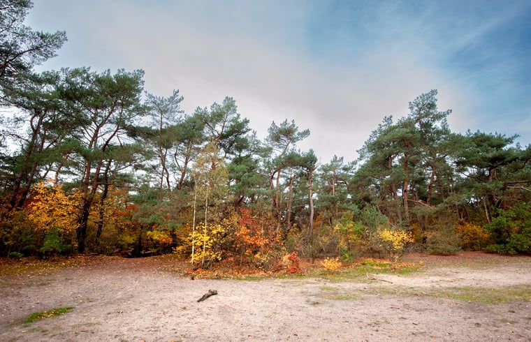 Verblijf 583301 - Vakantiewoning Utrecht eo - Vakantiehuisje in Bilthoven