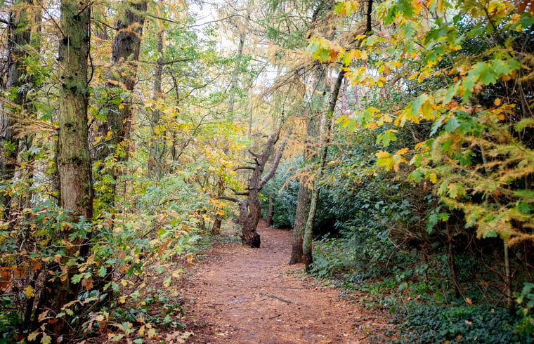 Verblijf 583301 - Vakantiewoning Utrecht eo - Vakantiehuisje in Bilthoven