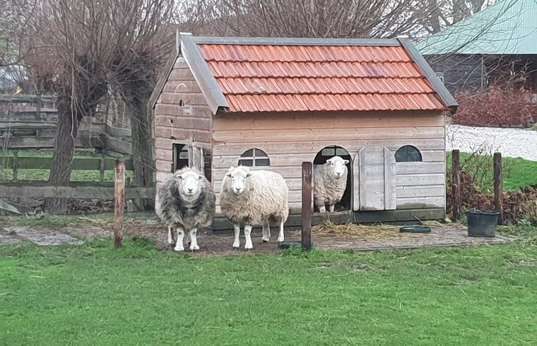 Unterkunft 583403 - Ferienhaus Utrecht eo - Vakantiehuis in Lopik