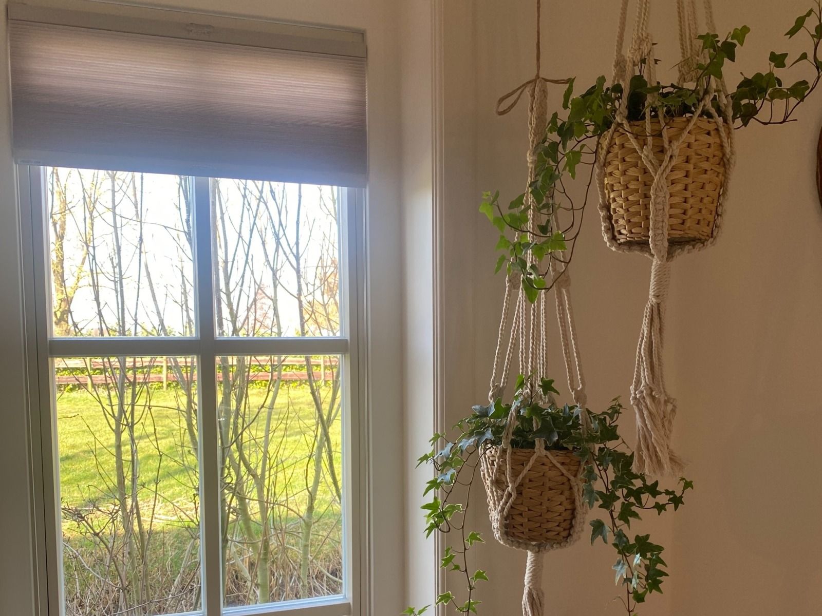 Guest house 589803 - Holiday property Utrecht eo - UT118