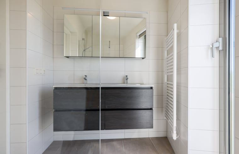Stylish bathroom in Holiday home in Wissenkerke, Noord-Beveland, Zeeland with double sink.