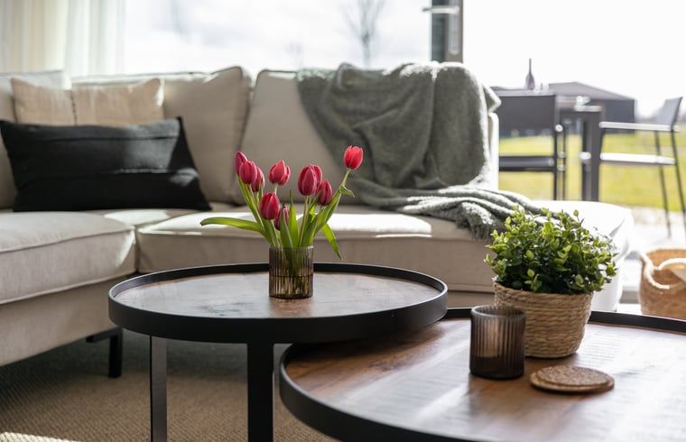 Stilvolle Einrichtung im Wohnzimmer des Ferienhauses in Wissenkerke, ideal fuer einen Urlaub in Nord-Beveland, Zeeland.