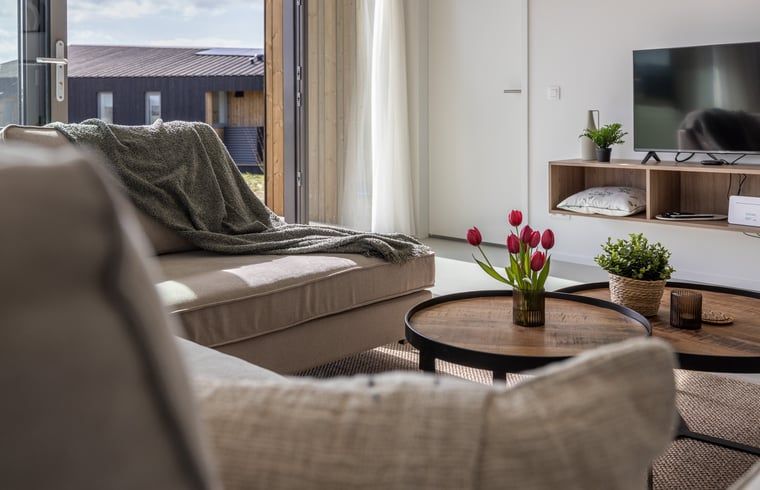 Modernes Wohnzimmer im Ferienhaus in Wissenkerke mit komfortablen Moebeln in Noord-Beveland, Zeeland.