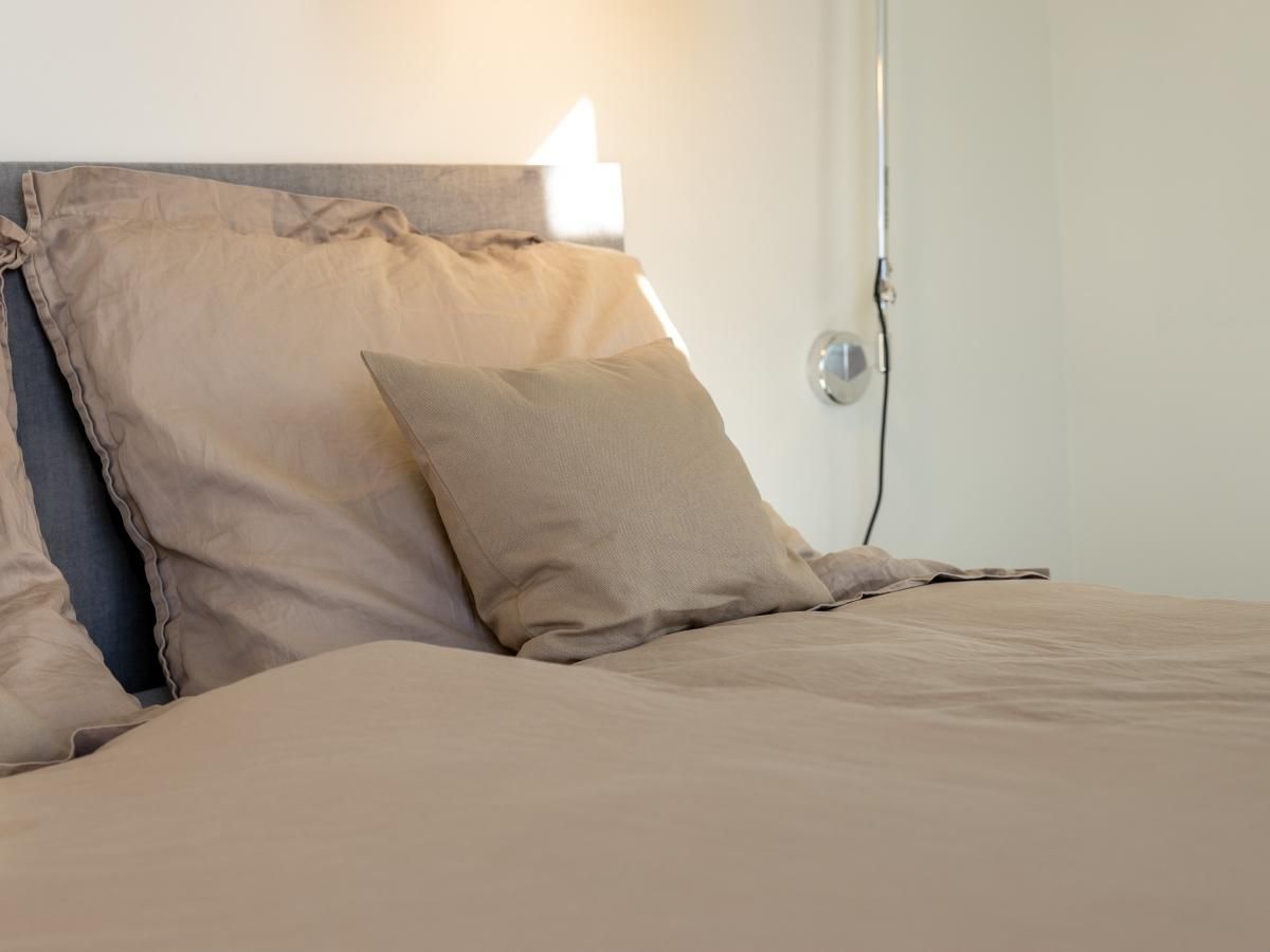 Guest house 590141 - Holiday property Noord-Beveland - Natuurhuis Windakker