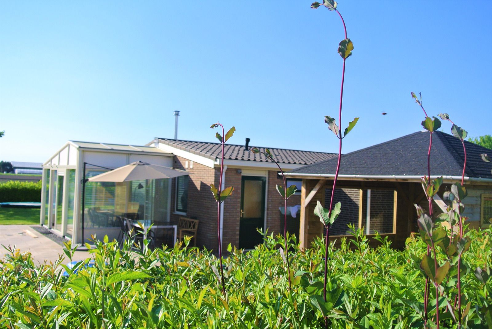 Geniessen Sie die ruhige Veranda des Ferienhauses ZE1679 in Kamperland, Noord-Beveland, umgeben von der erholsamen Natur Zeelands.