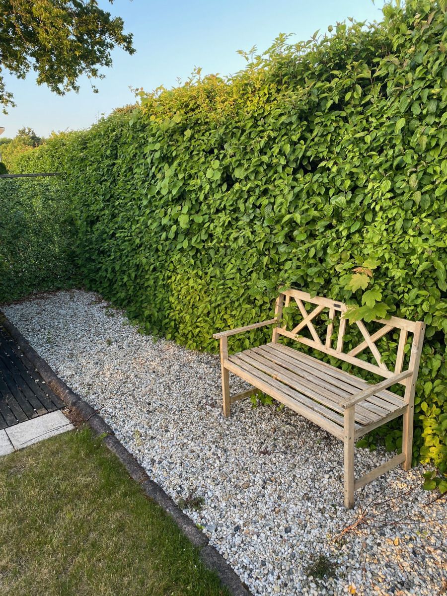 Unterkunft 5903113 - Ferienhaus Noord-Beveland - ZE1679