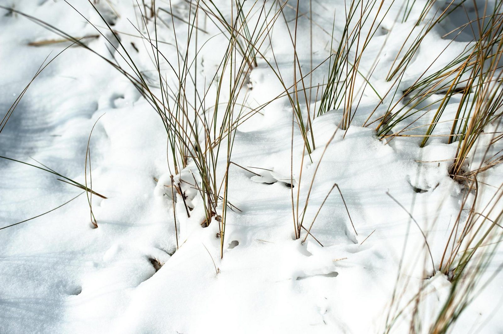 Komfortables Schlafzimmer im Bungalow Duinvallei 19, Kamperland, mit moderner Einrichtung