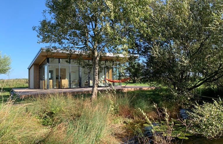 Ferienhaus in Kamperland mit Haengematte und ueppigem Garten in Nord-Beveland, Zeeland.