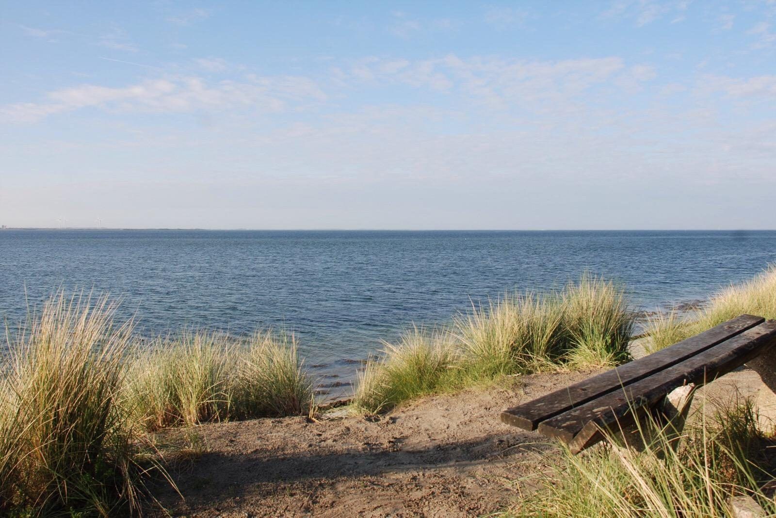 Aussicht auf das Meer und die Duenen im Ferienhaus VZ1178 in Kamperland, ruhige Umgebung.