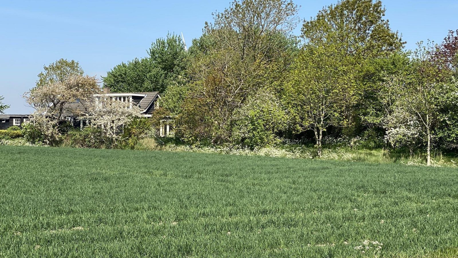 Die natuerliche Umgebung von VZ184 Ferienhaus Kamperland, Noord-Beveland, Zeeland.