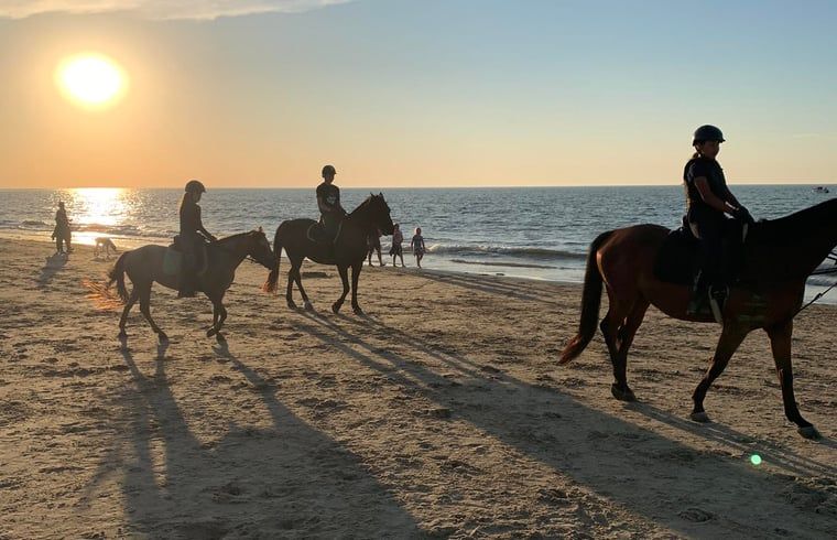 Reiten am Strand beim Ferienhaus in Kamperland, eine abenteuerliche Aktivitaet in Nord-Beveland.