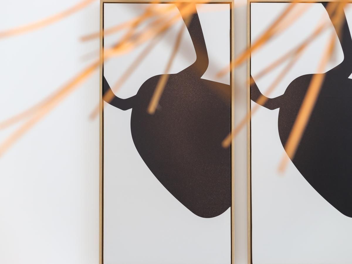 Unterkunft 5903499 - Ferienhaus Noord-Beveland - Zeeuwse Suite