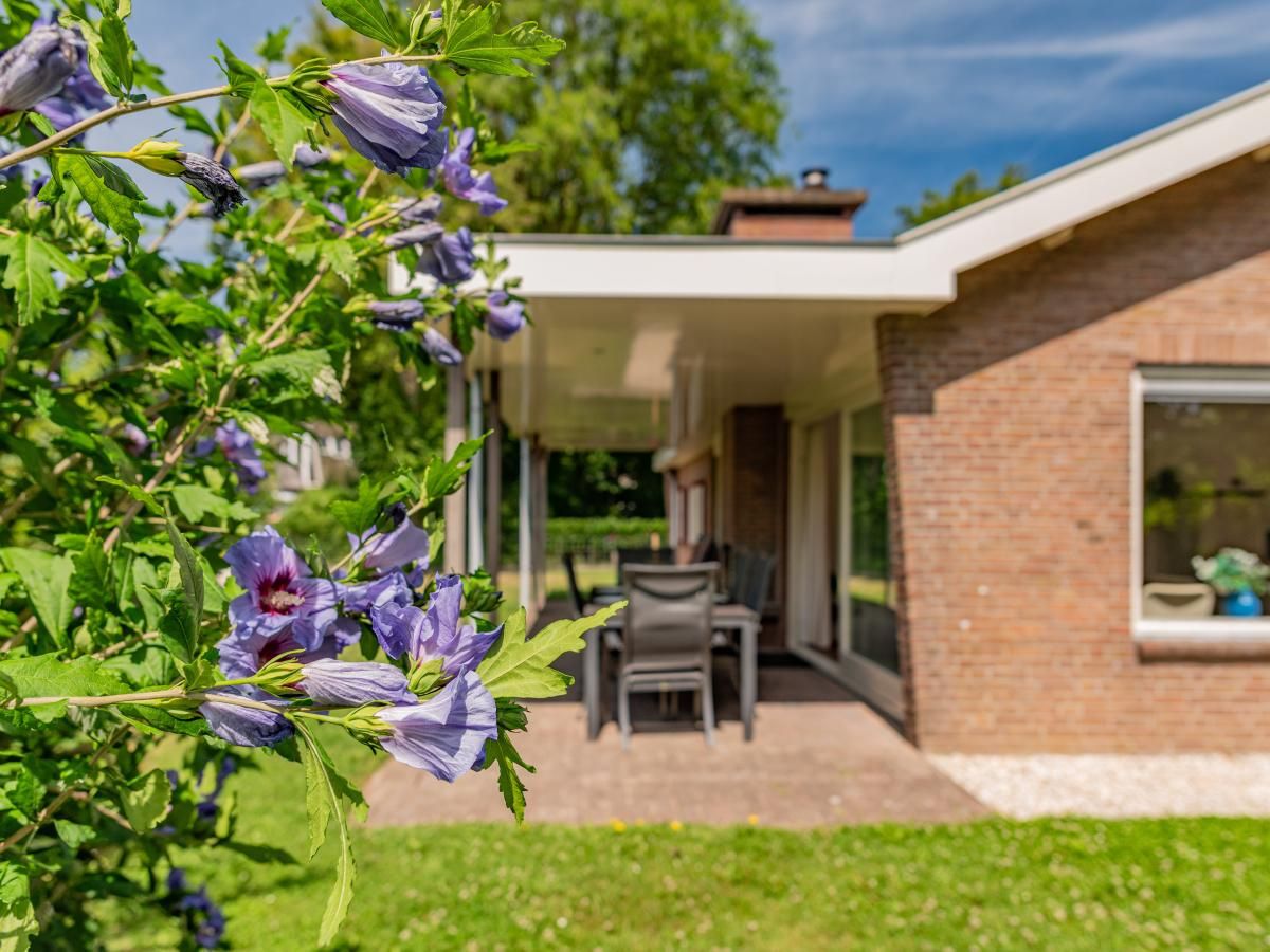 Unterkunft 5903516 - Ferienhaus Noord-Beveland - Duinvink