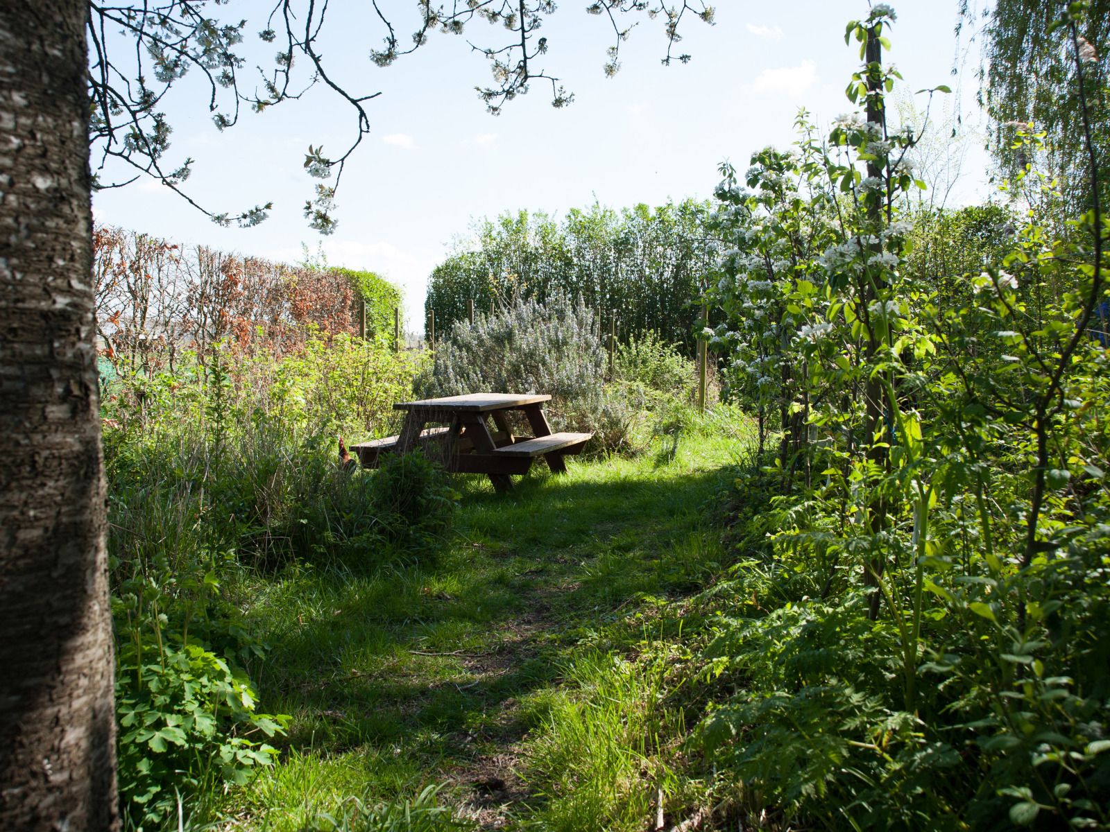 Verblijf 5903521 - Vakantiewoning Noord-Beveland - ZE1735