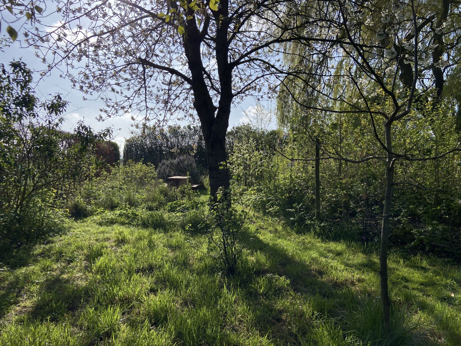 Verblijf 5903521 - Vakantiewoning Noord-Beveland - ZE1735