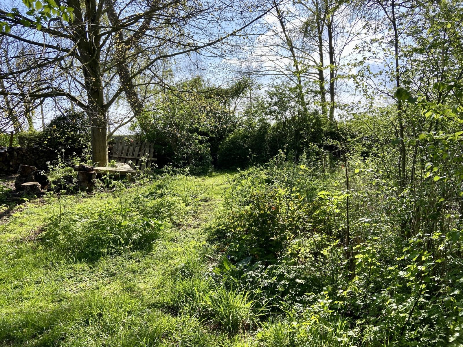 Verblijf 5903521 - Vakantiewoning Noord-Beveland - ZE1735