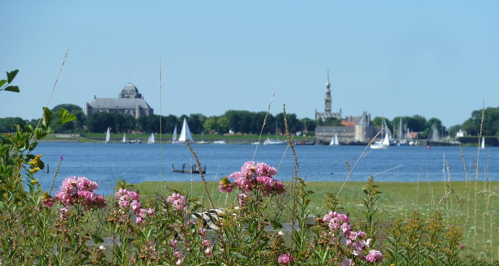 Guest house 5903557 - Holiday property Noord-Beveland - Havenweg 9 | Havenweg 