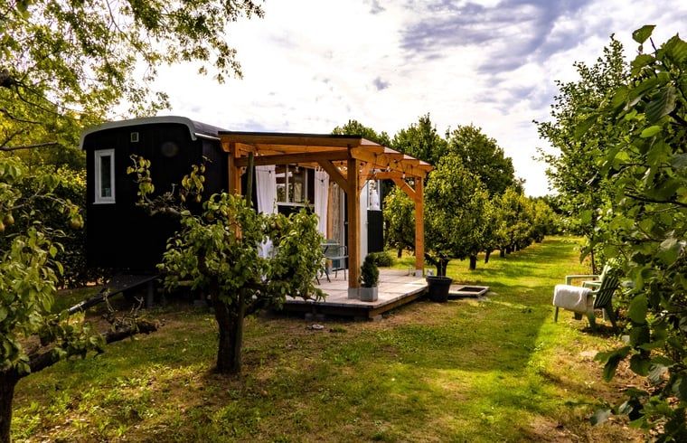Vakantiehuis in Kortgene omringd door groene natuur, perfect voor een ontspannen verblijf in Noord-Beveland, Zeeland.