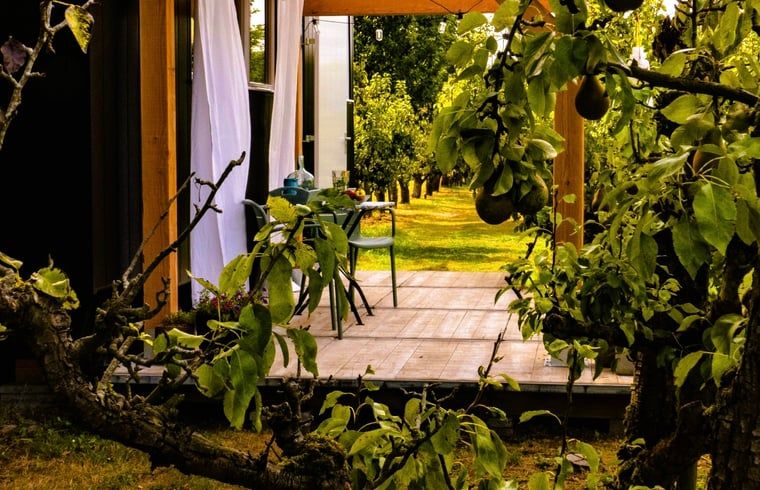 Ontspan op de veranda van Vakantiehuis in Kortgene, omringd door groene natuur in Noord-Beveland, Zeeland.