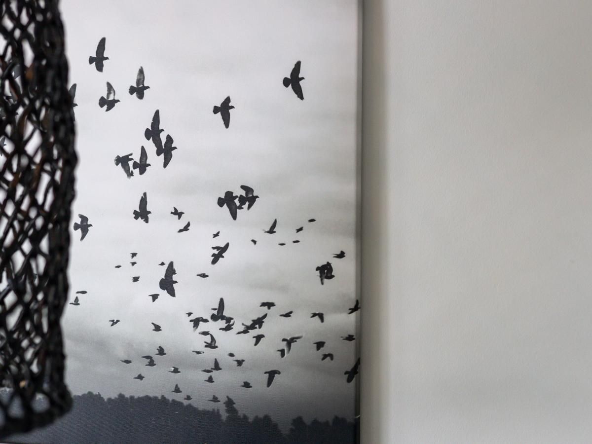 Guest house 590427 - Holiday property Noord-Beveland - Marina Relax Suite Kortgene