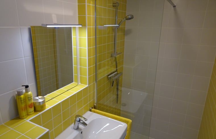 Guest house 590511 - Holiday property Noord-Beveland - Huisje in Geersdijk