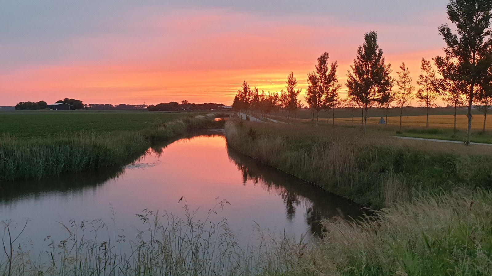 Guest house 590516 - Holiday property Noord-Beveland - ZE1511