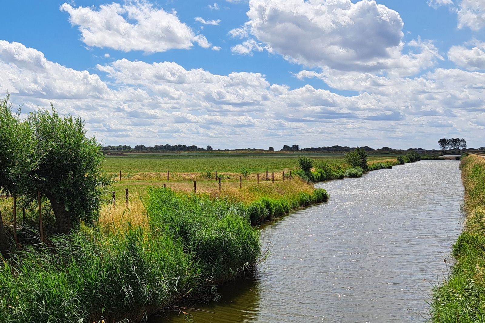 Guest house 590516 - Holiday property Noord-Beveland - ZE1511