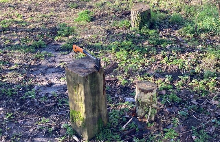 Unterkunft 600312 - Ferienhaus Schouwen-Duiveland - Huisje in Zierikzee